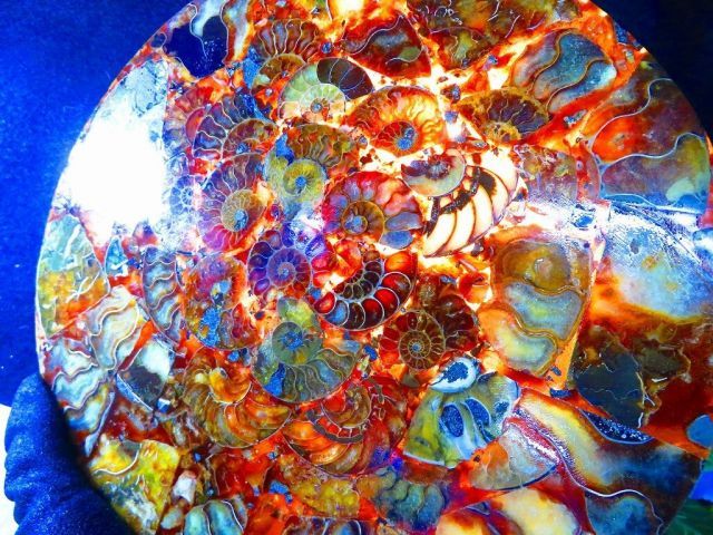 数万個の中の一個☆天然マダガスカル産 ☆ 縫合線オパールアンモナイト