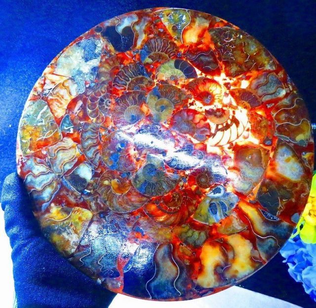 数万個の中の一個☆天然マダガスカル産 ショップ ☆ 縫合線オパール