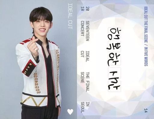 SEVENTEEN セブチ 2018 IDEAL CUT トレカ エスクプス 中古】コレクションカード(男性) 14：SEVENTEEN/S.COUPS(エスクプス
