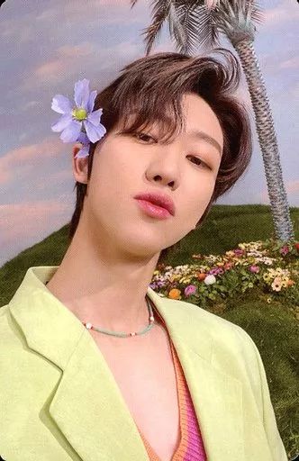 中古】コレクションカード(男性) SEVENTEEN/THE 8(ディエイト)/裏面黄