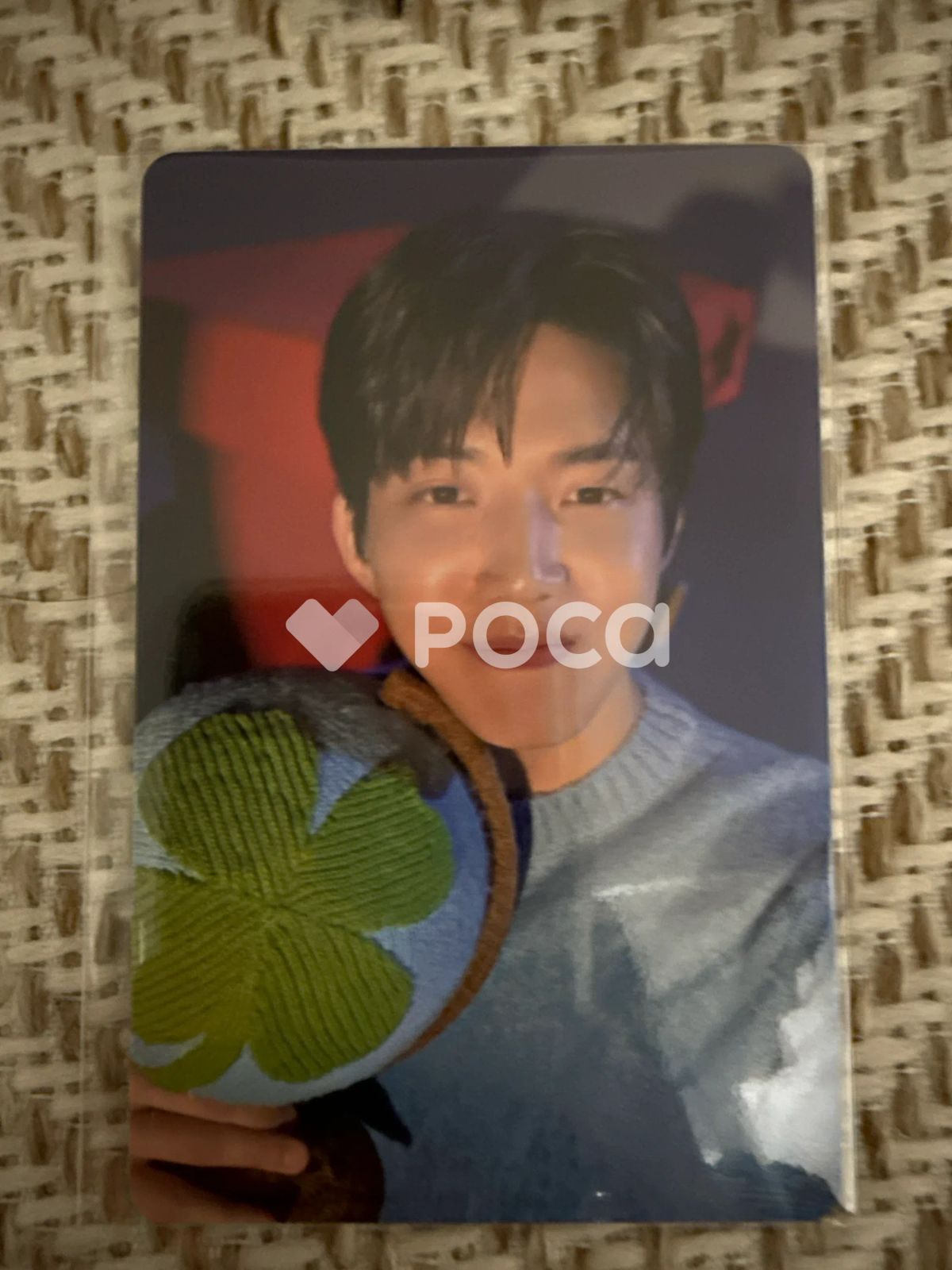 DAY6 ドウン 2025 DAY6 Special Concert 'The Present' 購入特典