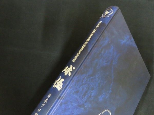 球極 日本プロ野球の伝説を創った輝ける男たち 2014年 日本プロ野球
