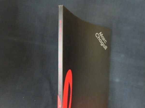 誕生120年　色彩のファンタジー　シャガール展　写真家イジスの撮ったシャガール 生誕120年記念 色彩のファンタジー シャガール展 写真家イジスの撮った