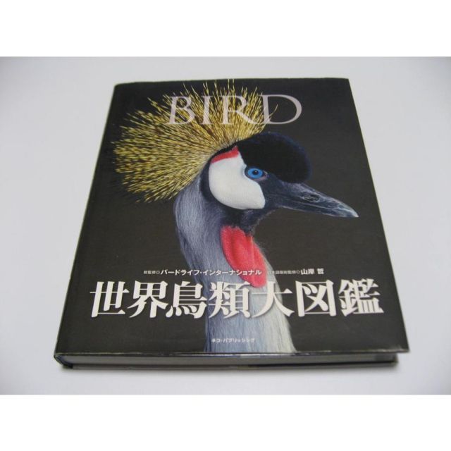 FRUiTS 2000年1月号 No.30