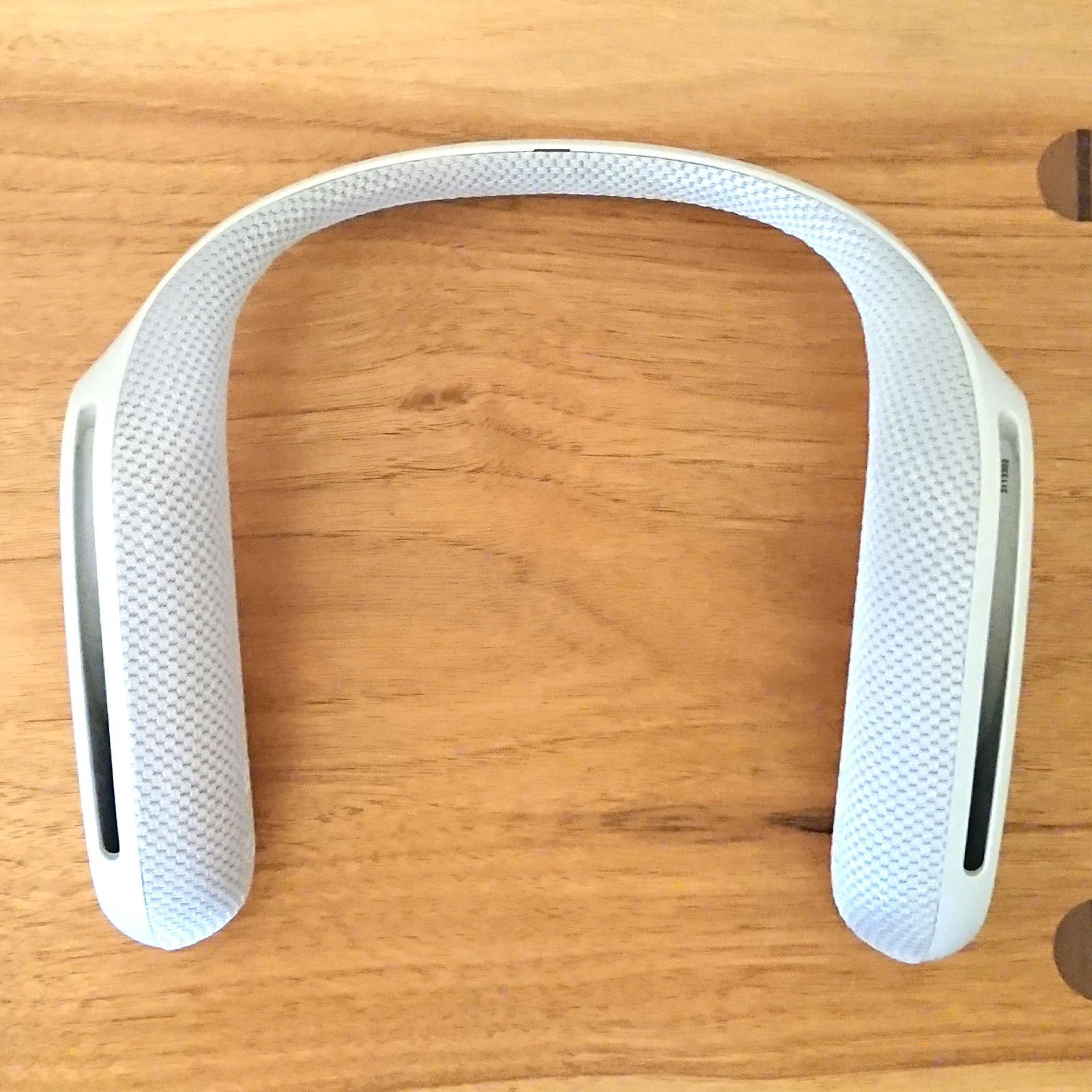 SONY SRS-WS1 モンスターハンター　アイスボーン　コラボ SRS-WS1 とモンハンがコラボ！モンスターハンターワールド アイス