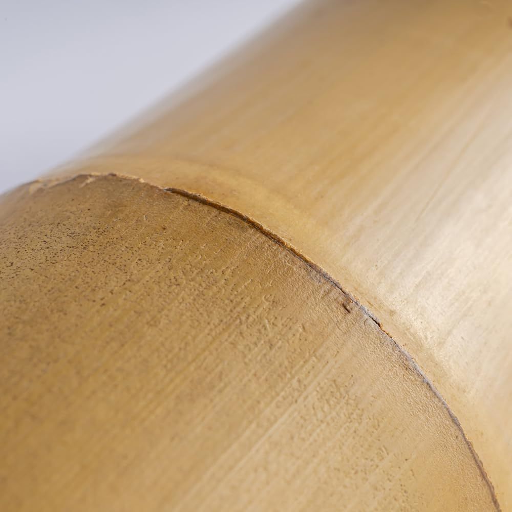 トンキンケーンバンブー六角スピニングロッド トンキンケーン 3.6m 1本 トンキン竹 トンキンバンブー バンブーロッド