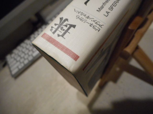 球と迷宮 マンフレッド・ターフリ著 球と迷宮 マンフレッド・ターフリ著