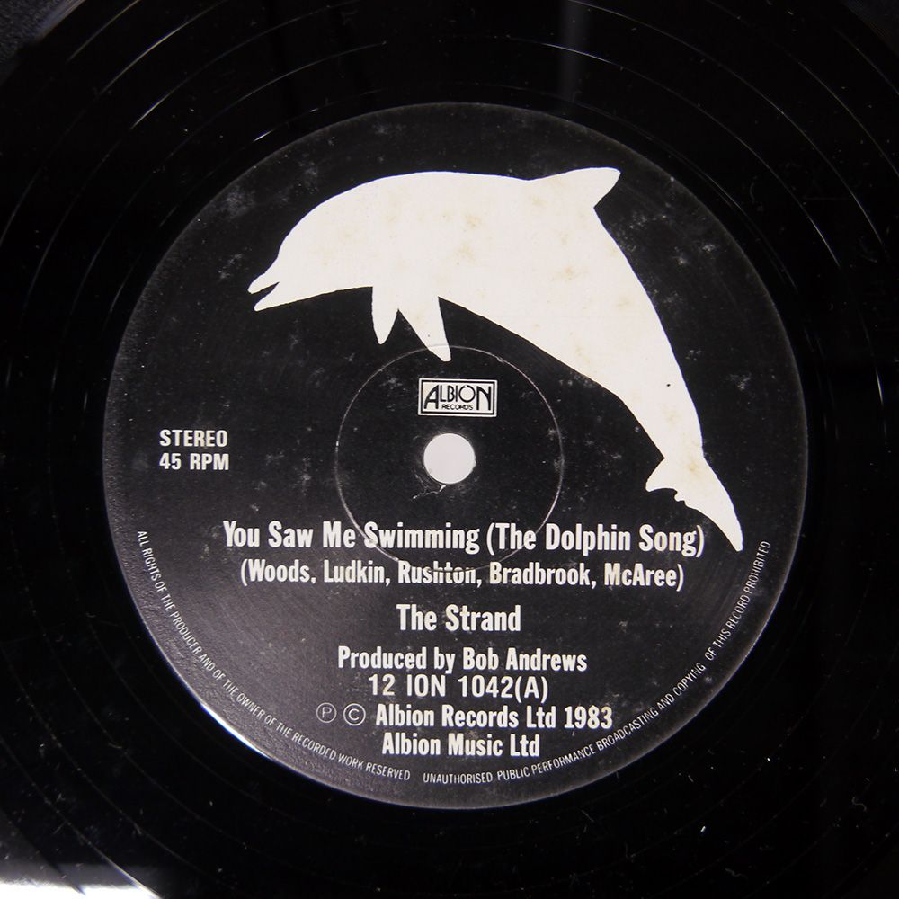 THE STRAND/YOU SAW ME SWIMMING (THE DOLPHIN SONG)/ALBION 12 - メルカリ