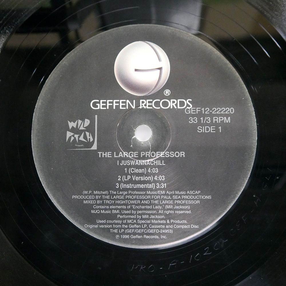 US盤 LARGE PROFESSOR/I JUSWANNACHILL / HARD! / THE MAD SCIENTIST