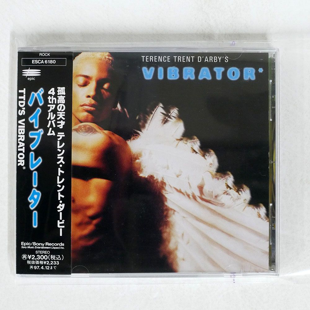 国内盤 TERENCE TRENT D'ARBY/TERENCE TRENT D'ARBY'S VIBRATOR/EPIC