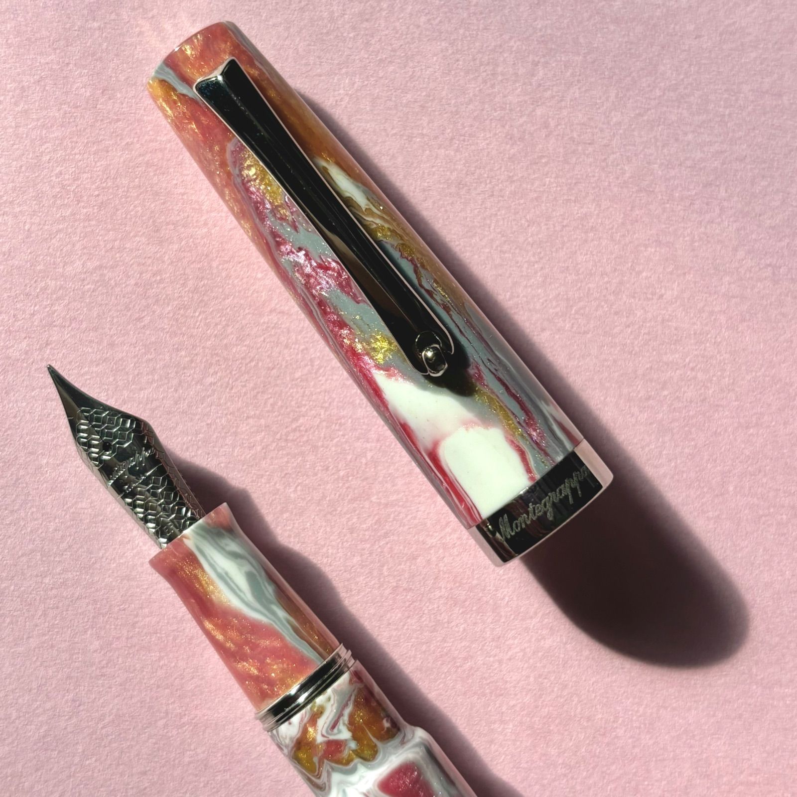 タルヴィジウム パリス