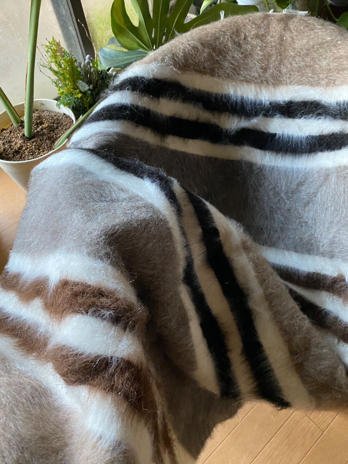 トルコの東の遊牧民の知恵シイルトバッタニイェ！アンゴラヤギのモヘア