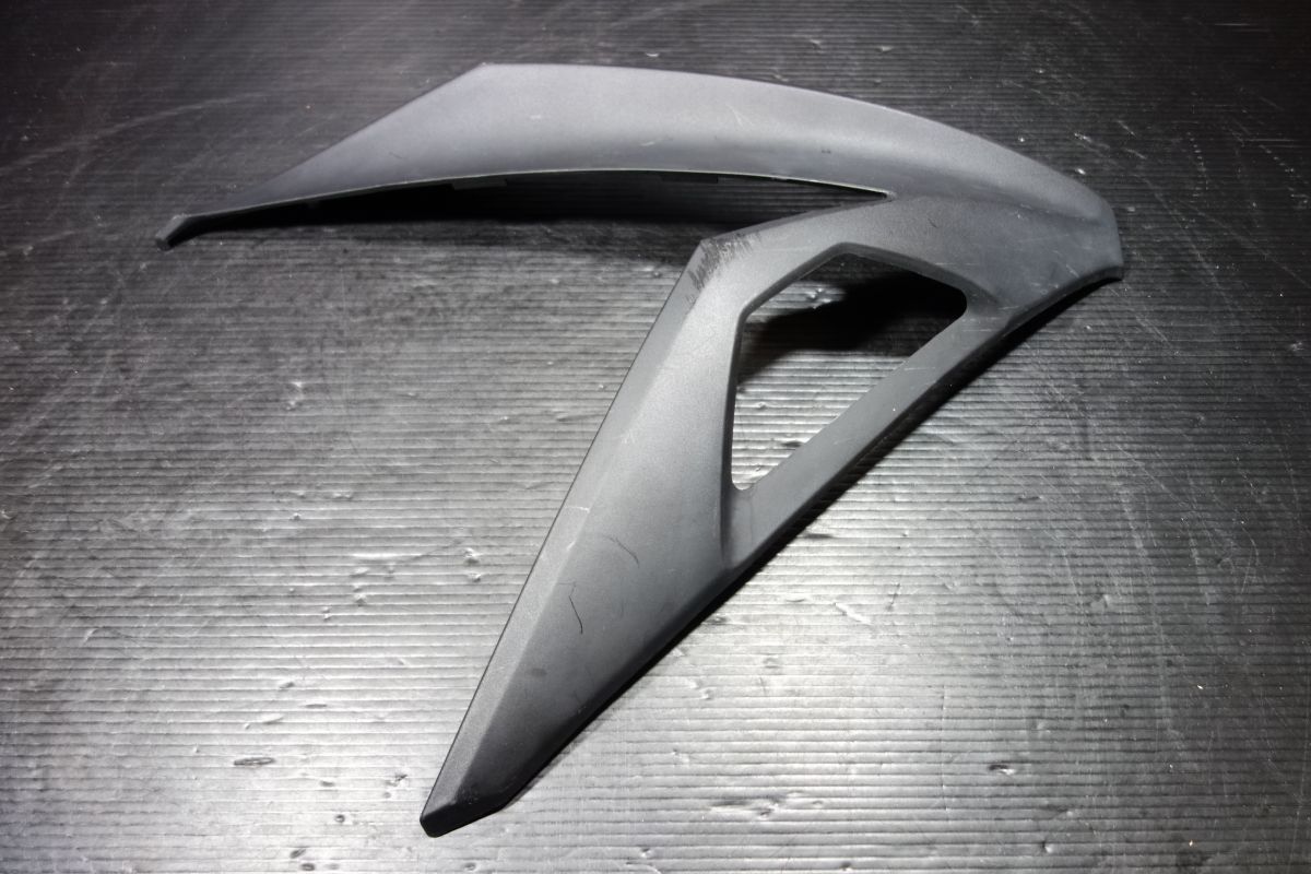 サイドカウル 右 カワサキ 純正 ニンジャ Ninja250 EX250L 55028-0419
