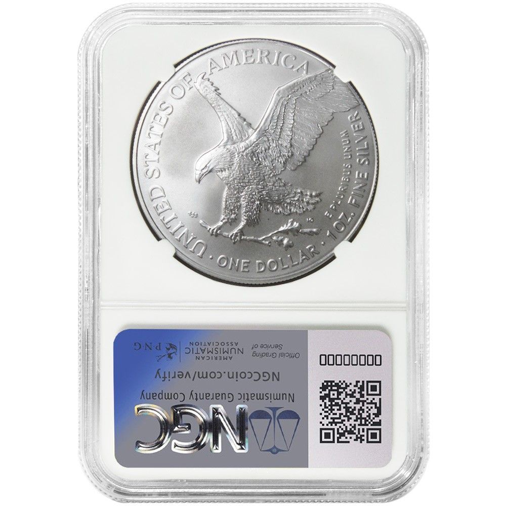 NGC MS69 2024 1/4オンス0.999 シルバー 英国 ブリタニア NGC MS69 2024 1/4オンス0.999 シルバー 英国 ブリタニアの通販 by