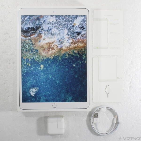 最も安い 〔品〕 iPad Pro 10.5インチ 256GB シルバー MPHH2J／A SIM