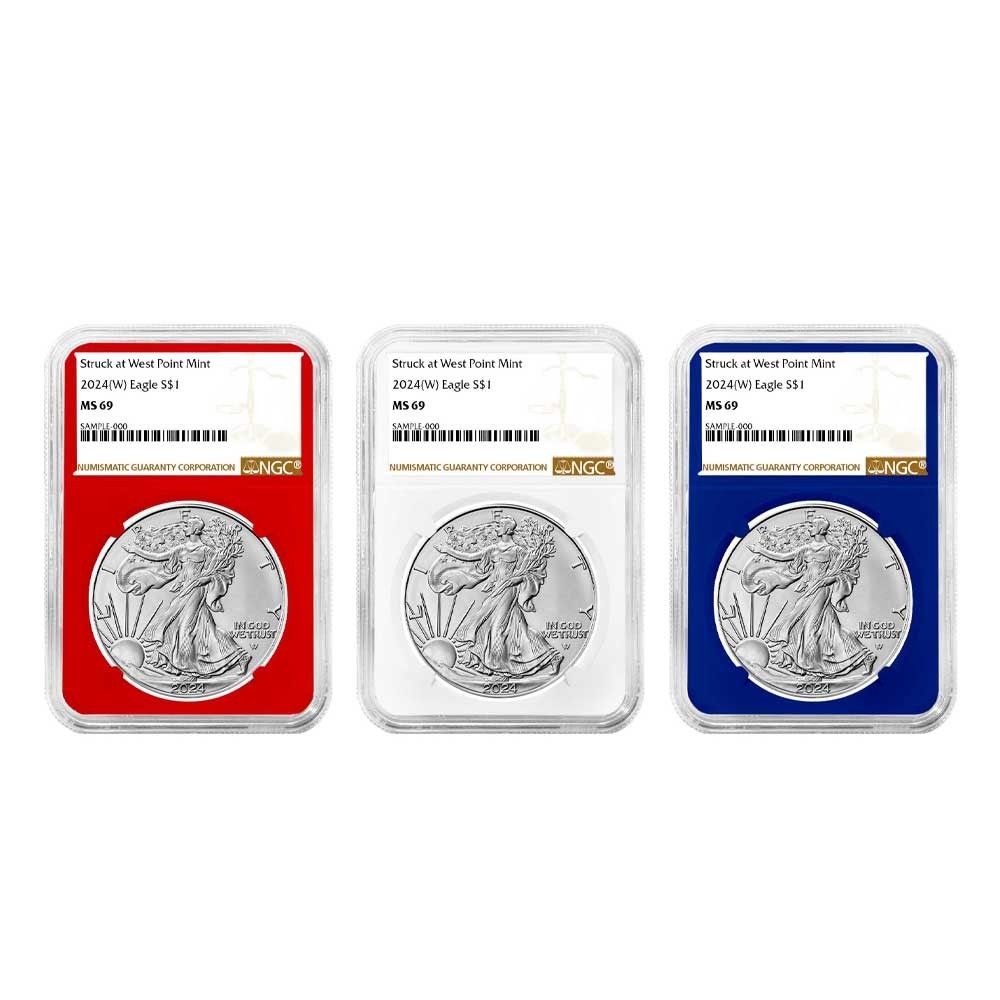 最新作　2024 NGC MS-70 イーグル銀貨　ブラウンラベル 最新作2024 NGC MS-70 イーグル銀貨ブラウンラベル