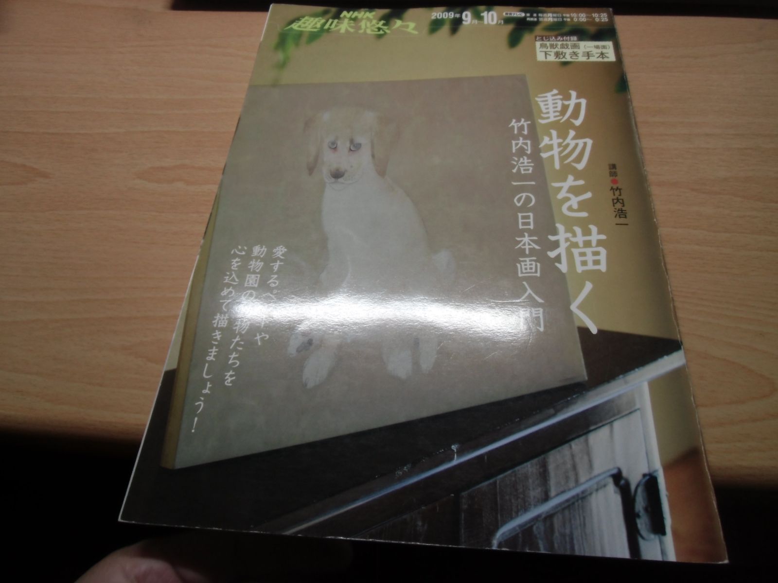 動物を描く: 竹内浩一の日本画入門 (NHK趣味悠々) ※【下敷き手本欠品