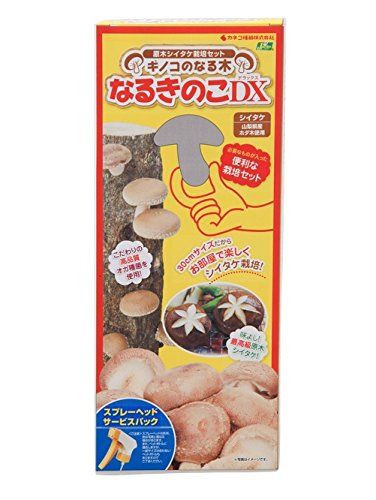 カネコ種苗 原木しいたけ栽培セット なるきのこデラックス