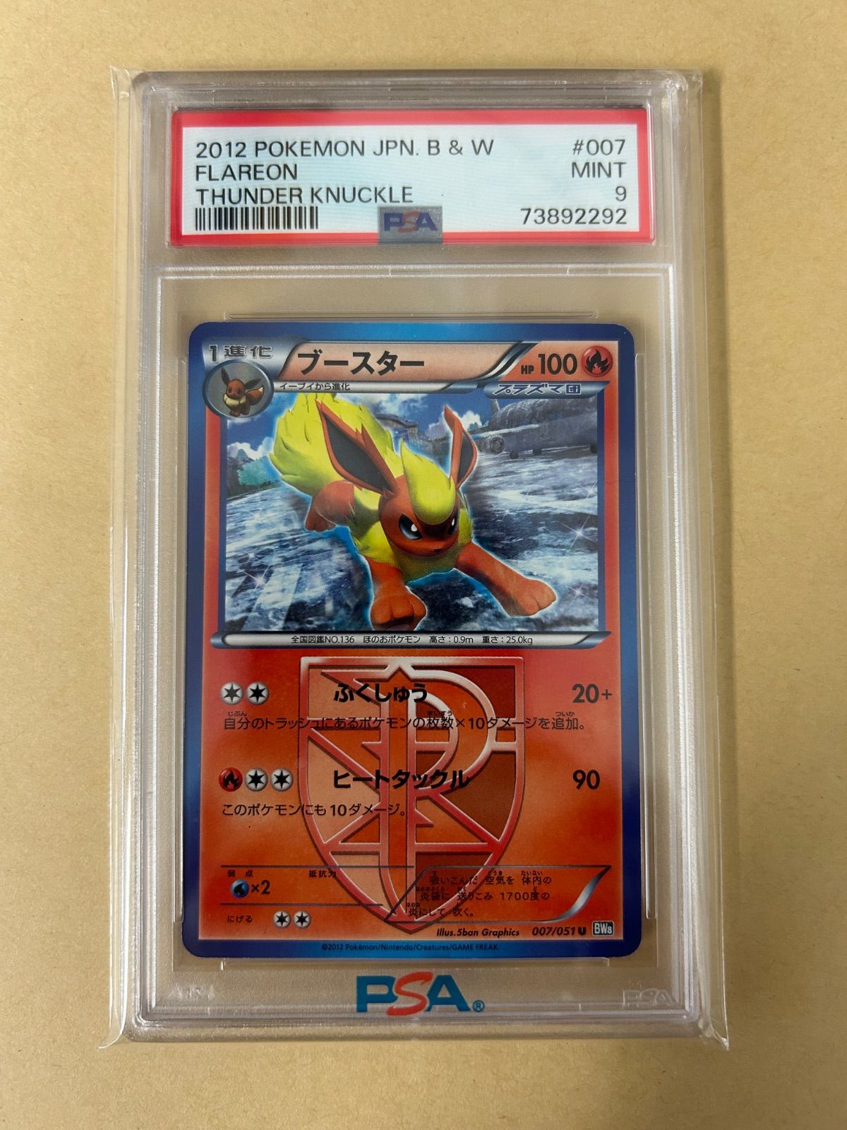 PSA10 9/プラズマ団 ブイズ 全6枚 コンプ/ブラッキー BW8 031 R HOLO