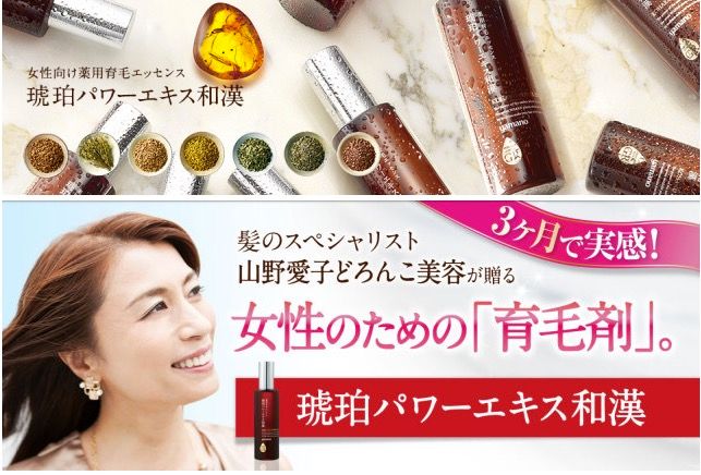 ヤマノ 薬用育毛エッセンス 琥珀パワーエキス 和漢3ヶ月育毛実感セット