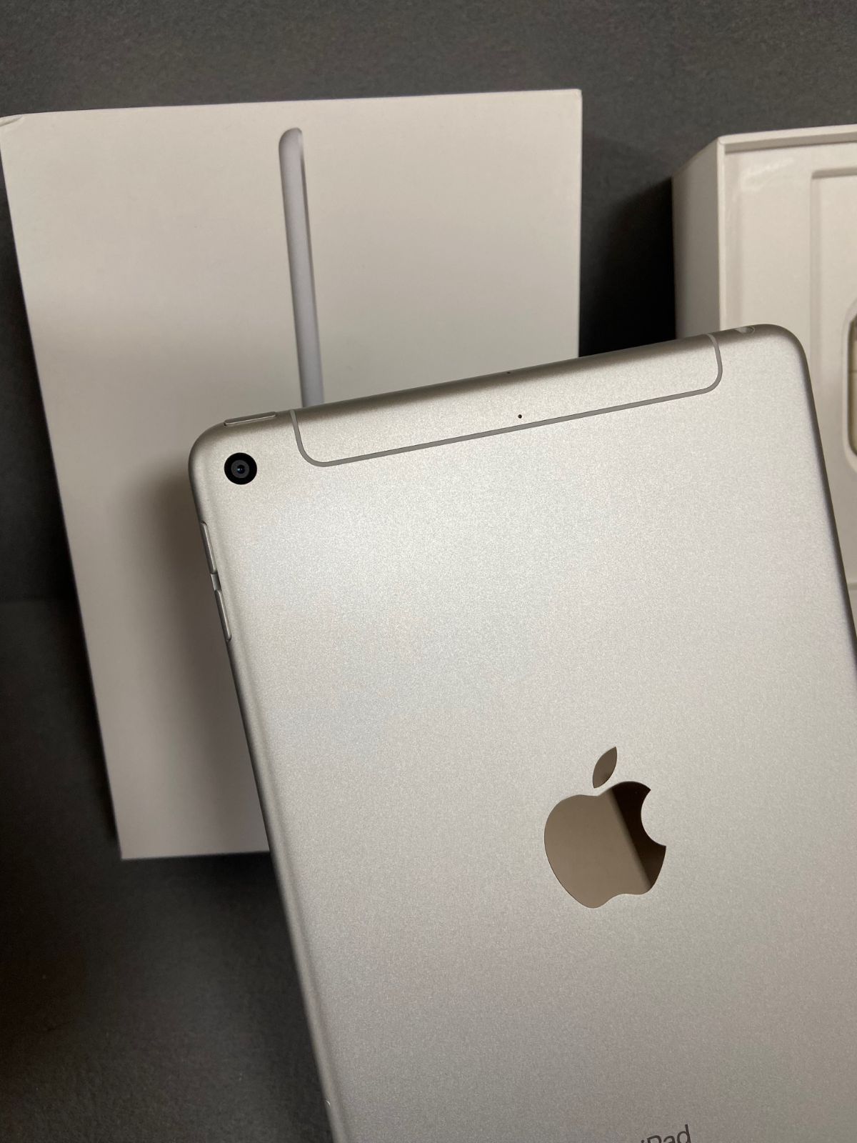 SIMフリーモデル 美品 iPad mini 第5世代 64GB シルバー Apple iPad mini 7.9インチ 第5世代 Wi-Fi+Cellular 64GB 2019年春