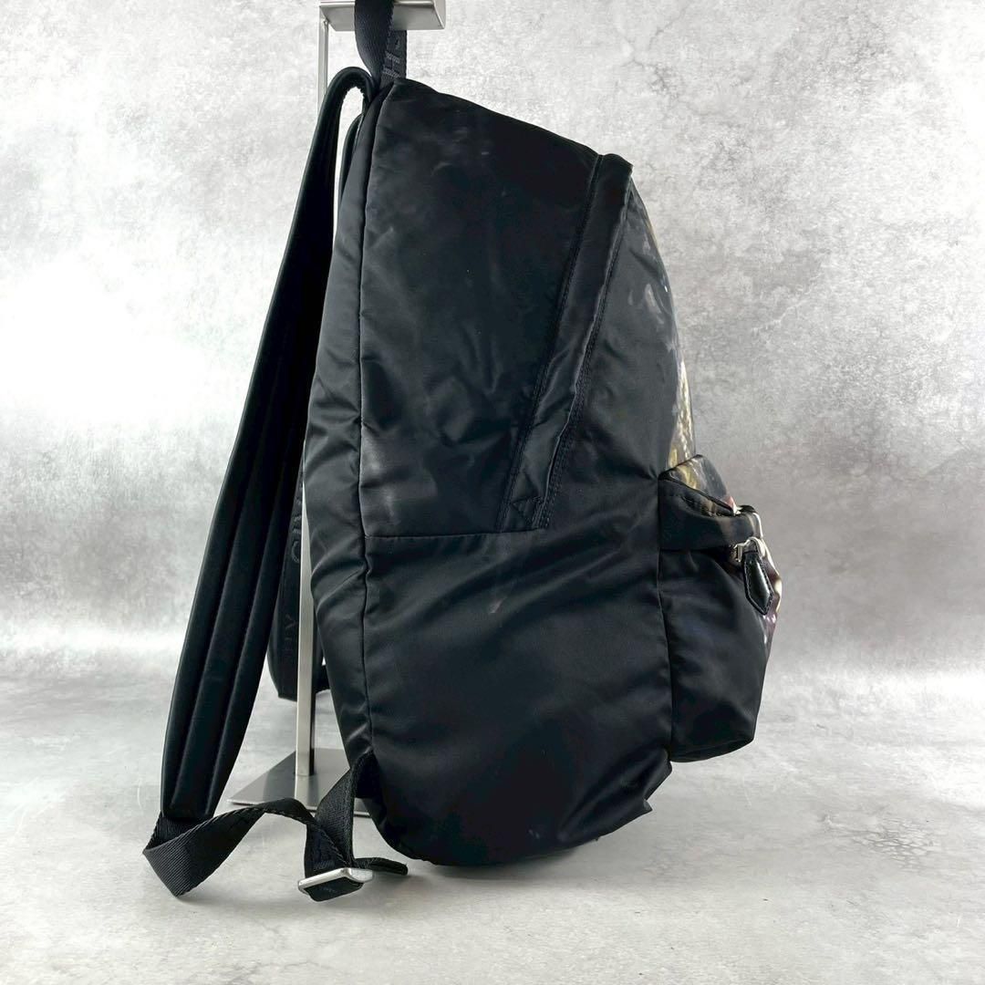 GIVENCHY ジバンシー リカルドティッシ期 ロットワイラー ドーベルマン