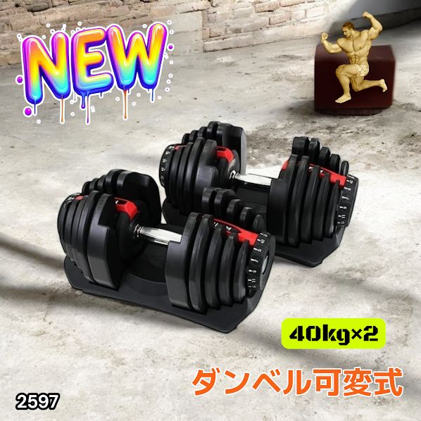 可変式ダンベル 40kg×2個セット レッド 17段階調整 自宅トレ筋トレ 楽天市場】□12/26迄 1,000円OFF□ 可変式ダンベル40kg 2個セット 17