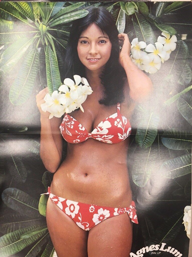 GIRL!GIRL!GIRL!アグネス・ラム&CMアイドル特集号創刊10周年記念 Girl！Girl！Girl！ アグネス・ラム&CMアイドル特集号 / かもがわ書店