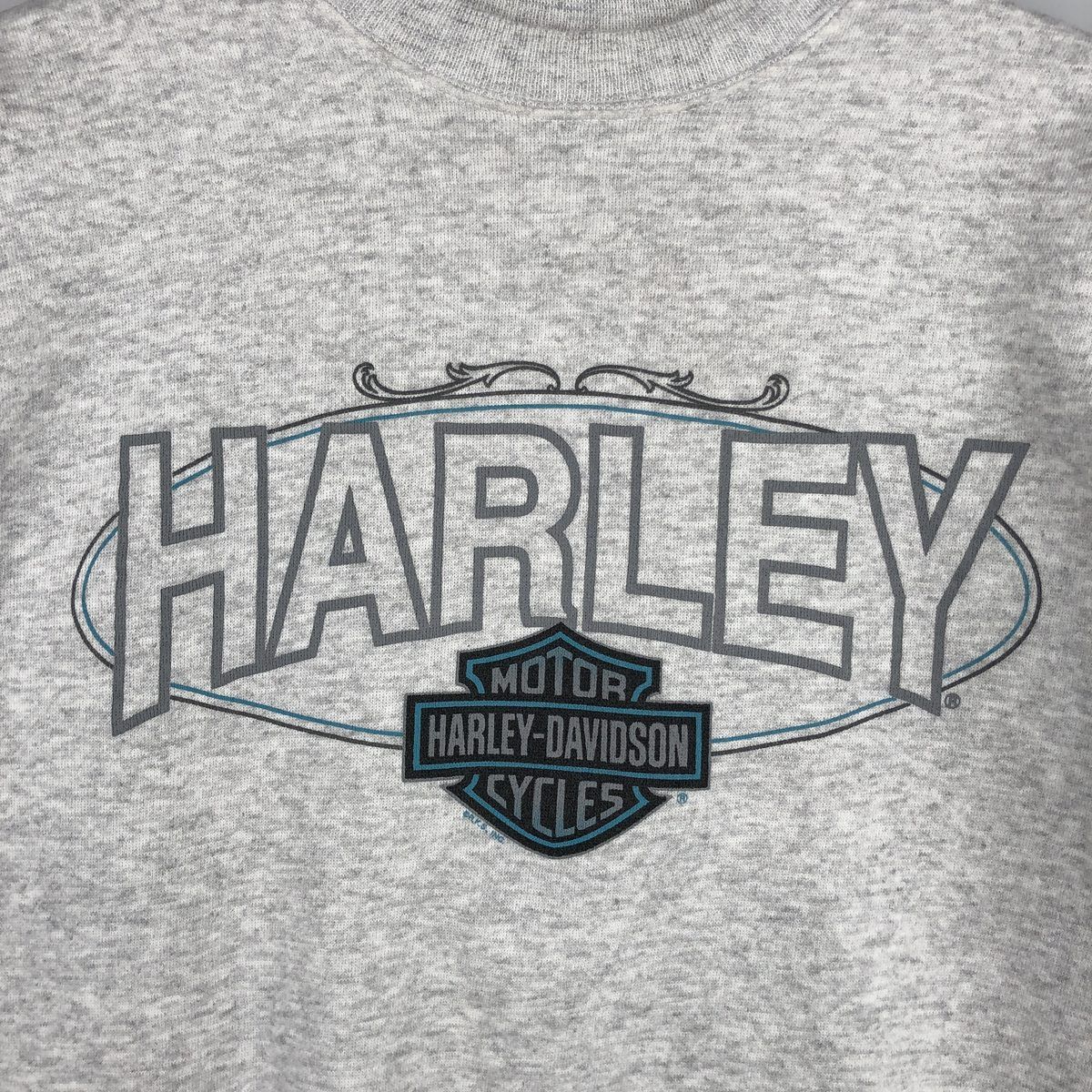 古着 90~00年代 ヘインズ Hanes Harley-Davidson ハーレーダビッドソン