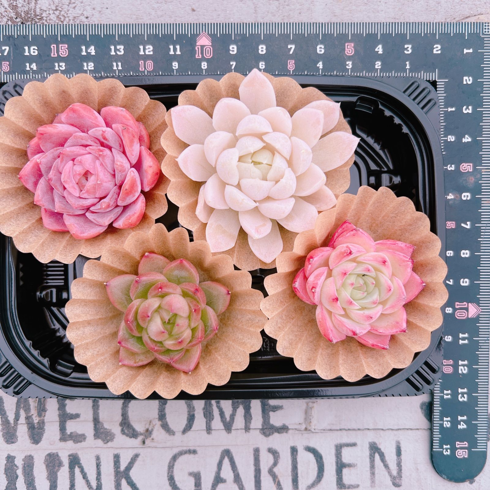 ふみ様専用 - メルカリ