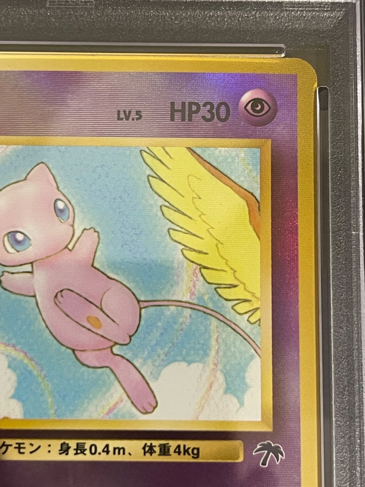 ポケモンカード 1999年 ミュウ サザンアイランド 旧裏 プロモ PSA9鑑定