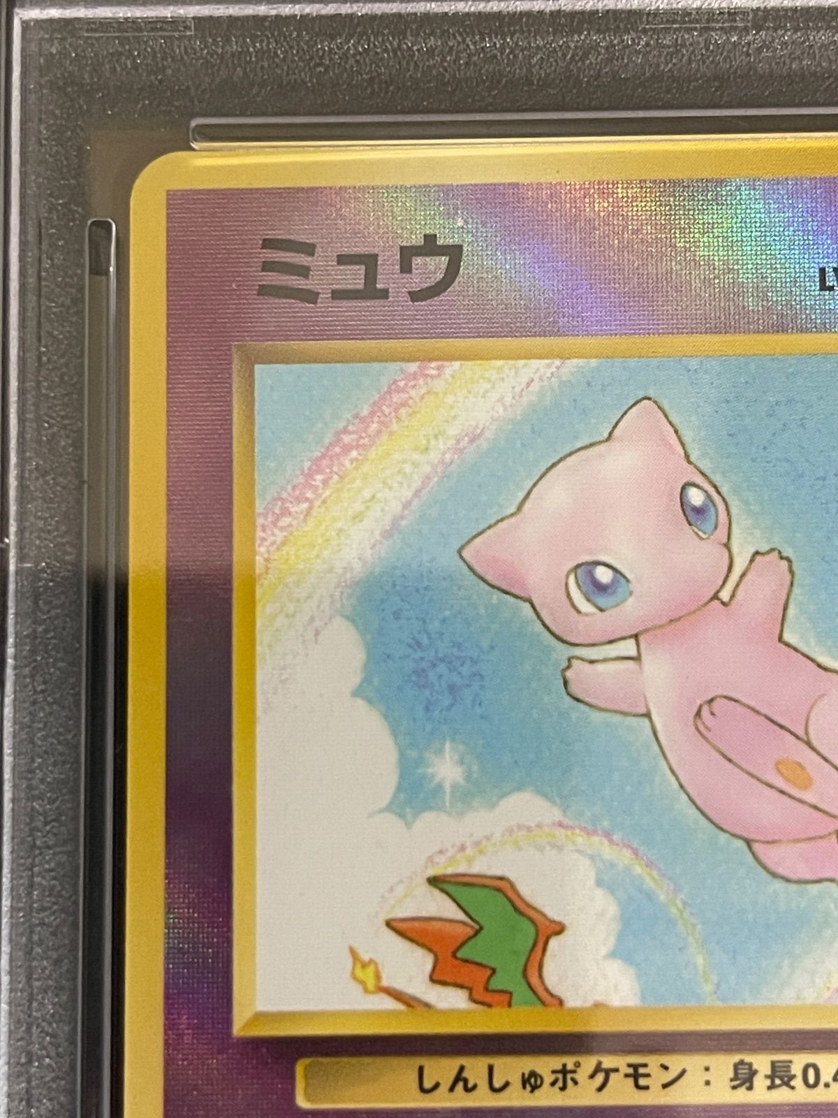 ポケモンカード 1999年 ミュウ サザンアイランド 旧裏 プロモ PSA9鑑定