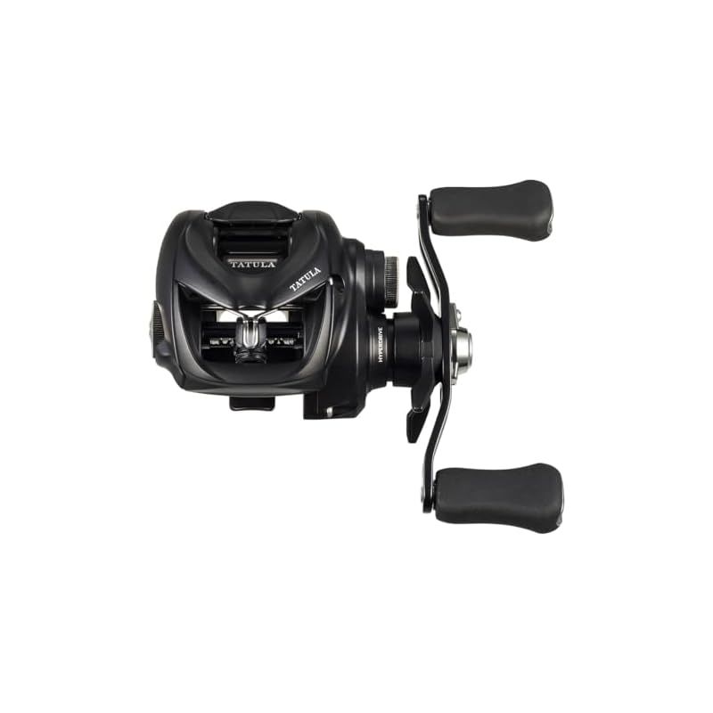 ダイワ(DAIWA) ベイトリール 24TATULA TW 100HL 0 - メルカリ