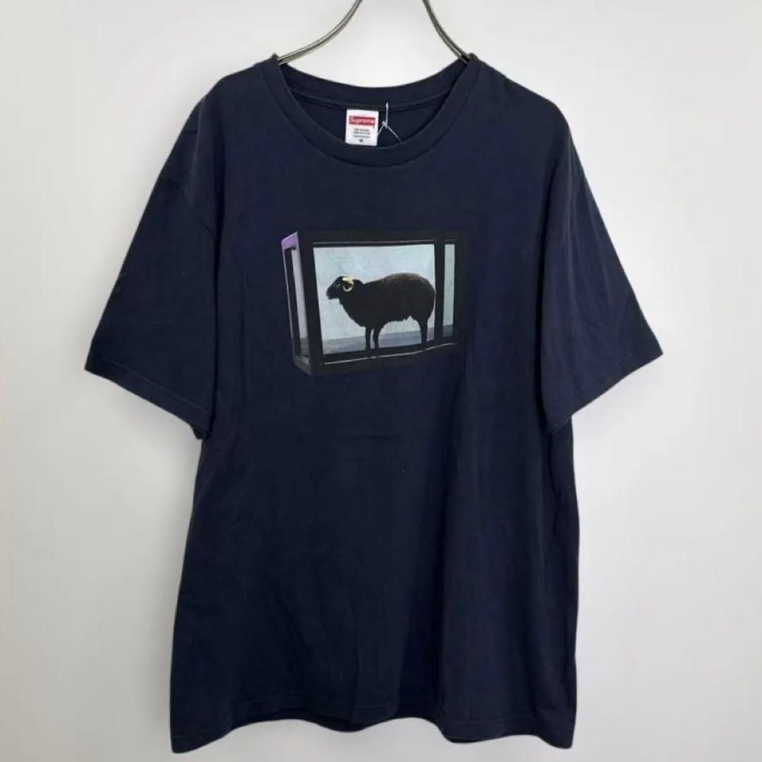 R00834｜Supreme シュプリーム｜半袖Tシャツ｜ショートスリーブ｜Navy
