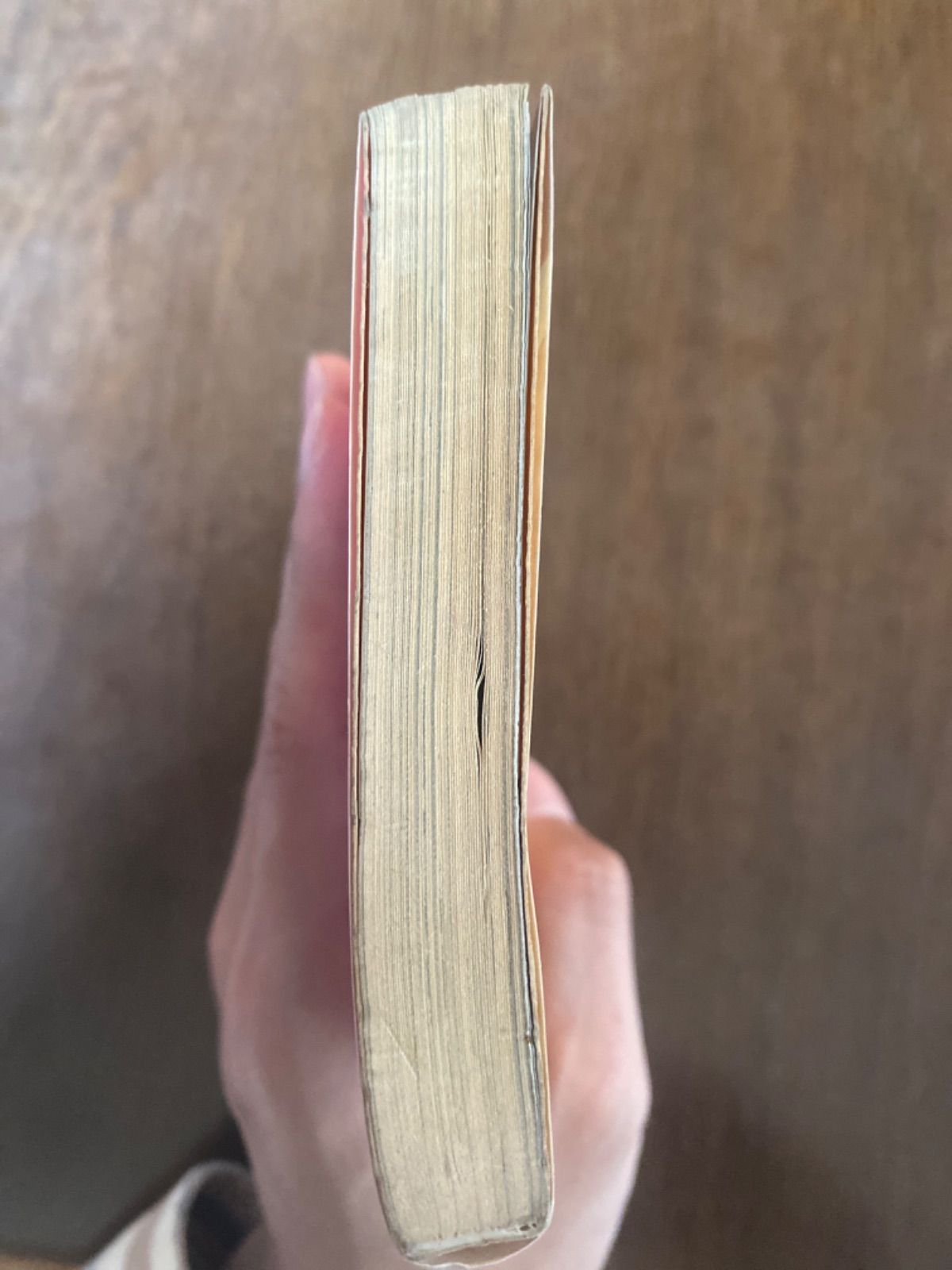 陰陽師は式神を使わない　藤原京　集英社スーパーダッシュ文庫 陰陽師は式神を使わない 藤原京 集英社スーパーダッシュ文庫 陰陽師は