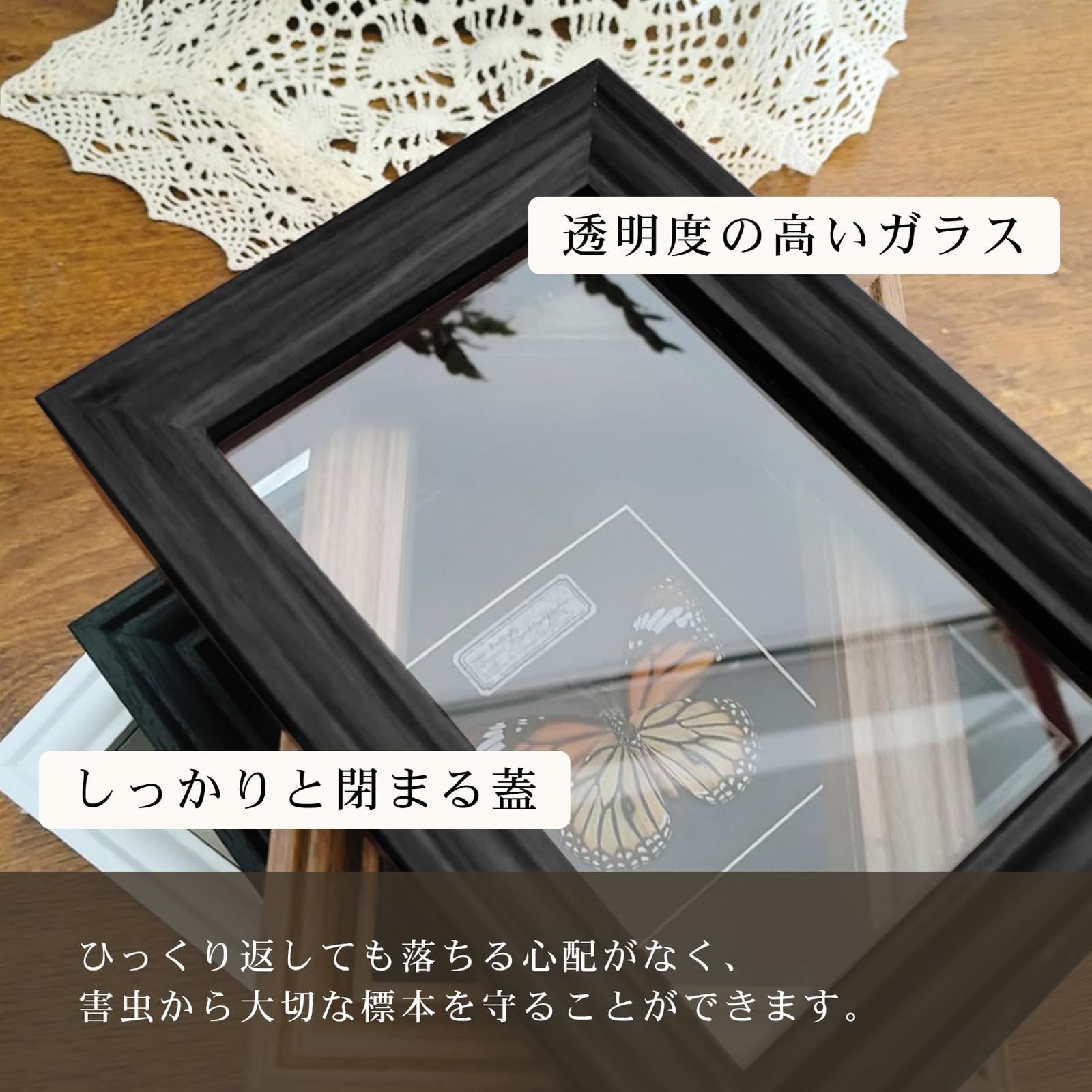 小型標本箱 6箱 小型標本箱 6箱 UVカット】《特小型》ドイツ型標本箱[茶] :