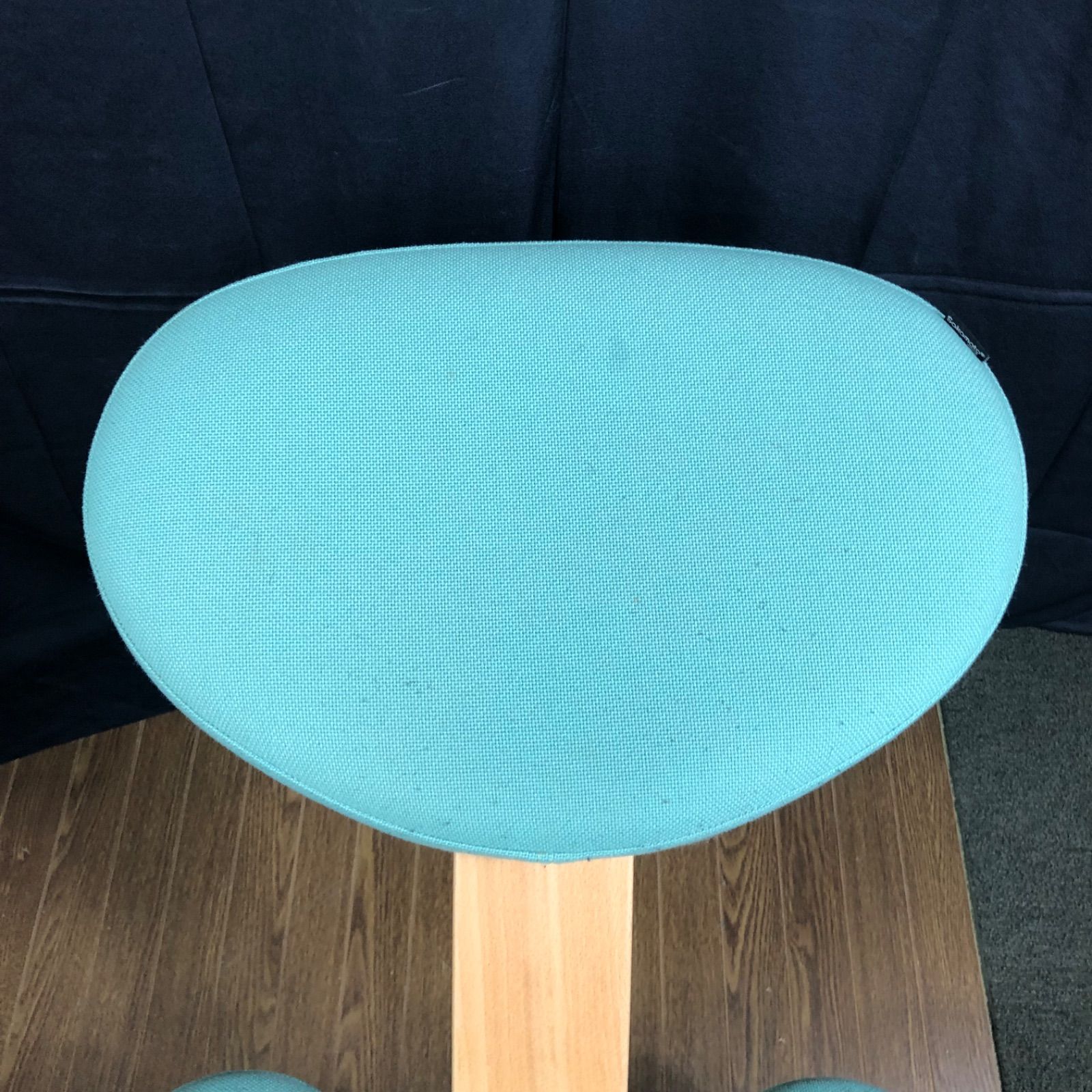 値下げ交渉可能】サカモトハウス バランスチェア イージー 姿勢矯正