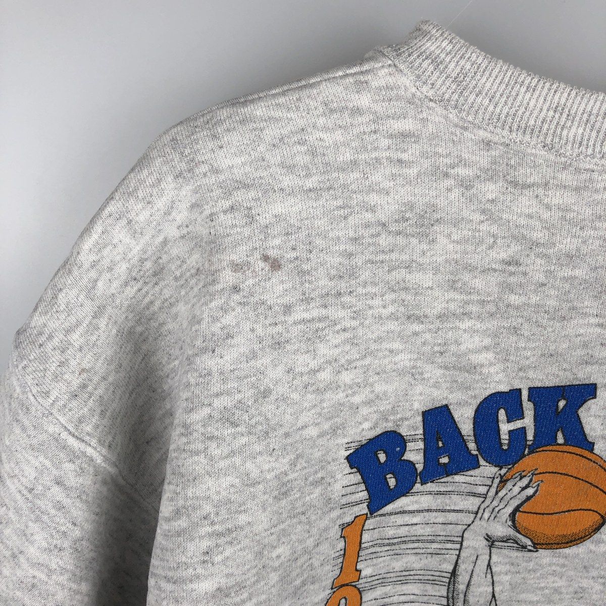 古着 90年代 ヘインズ Hanes Classics HEAVYWEIGHT カレッジスウェット 