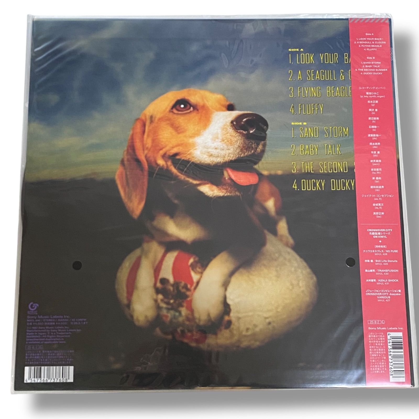 菊池ひみこ / Flying Beagle【完全生産限定盤】 菊池ひみこ / Flying Beagle【完全生産限定盤】 - メルカリ