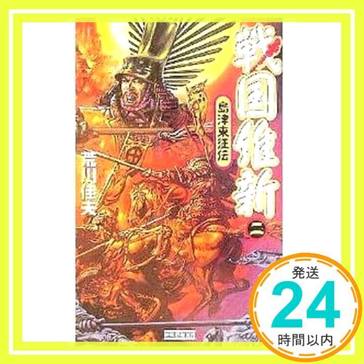 戦国維新: 島津東征伝 (2) (歴史群像新書 164-2) 荒川佳夫_04 - メルカリ