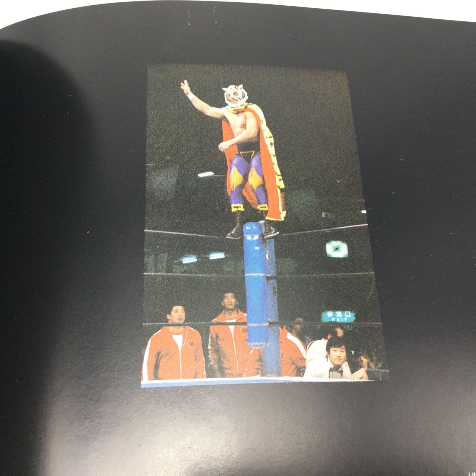 タイガーマスク写真集 (テレビ朝日ゴ-ルデンアルバム) タイガ-マスク写真集 (テレビ朝日ゴ-ルデンアルバム) | タイガーマスク