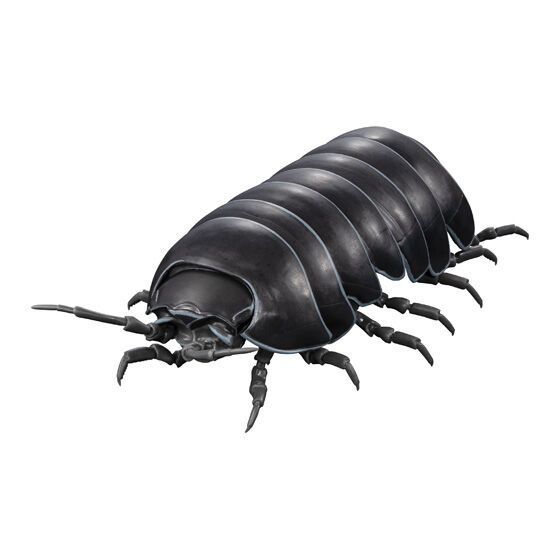 BANDAI☆PREMIUM GASHAPON☆いきもの大図鑑アドバンス ダンゴムシ