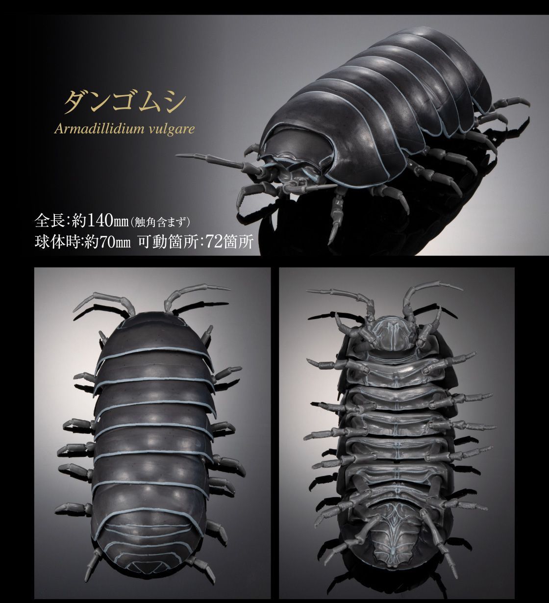BANDAI☆PREMIUM GASHAPON☆いきもの大図鑑アドバンス ダンゴムシ
