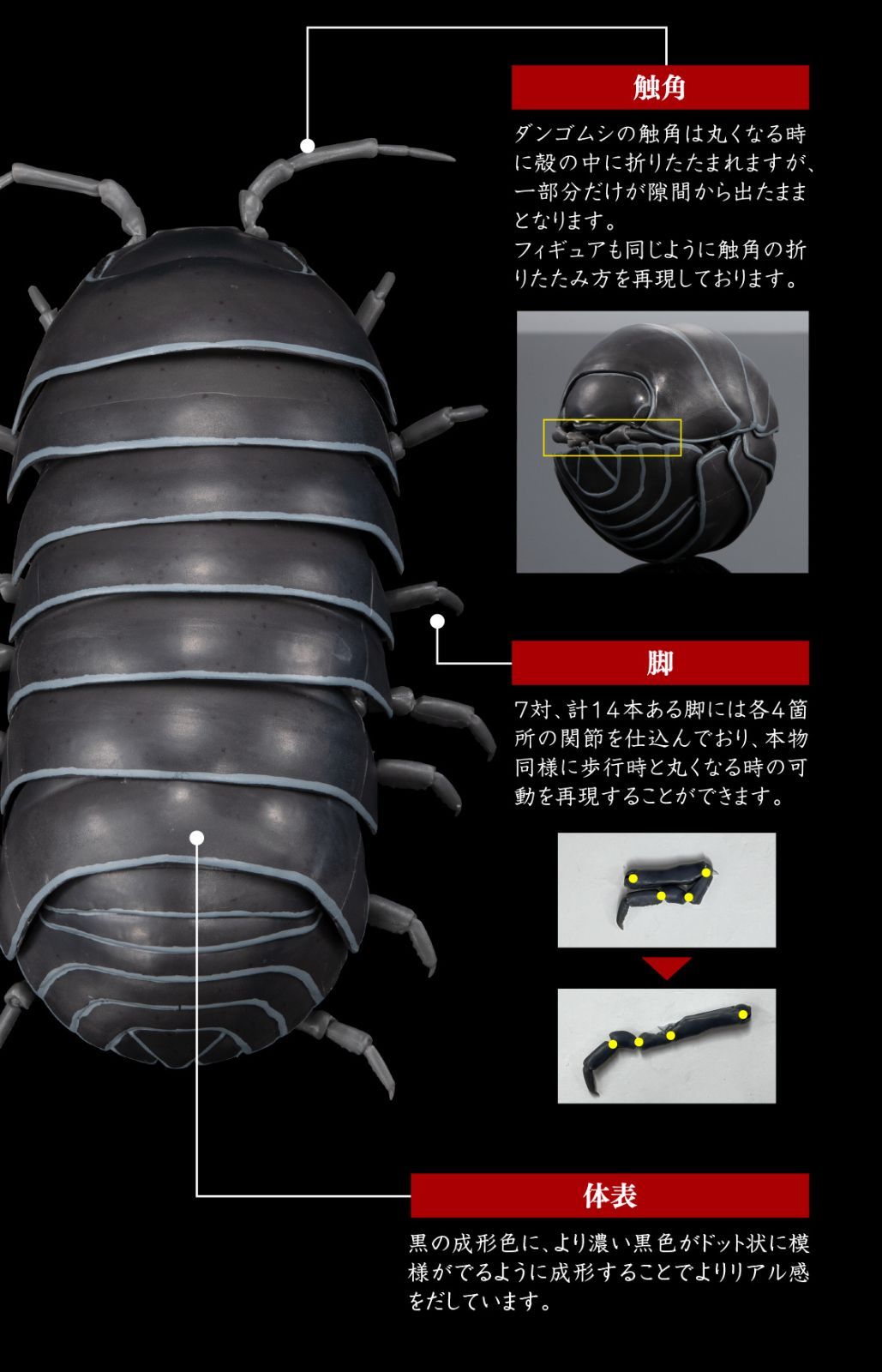 BANDAI☆PREMIUM GASHAPON☆いきもの大図鑑アドバンス ダンゴムシ