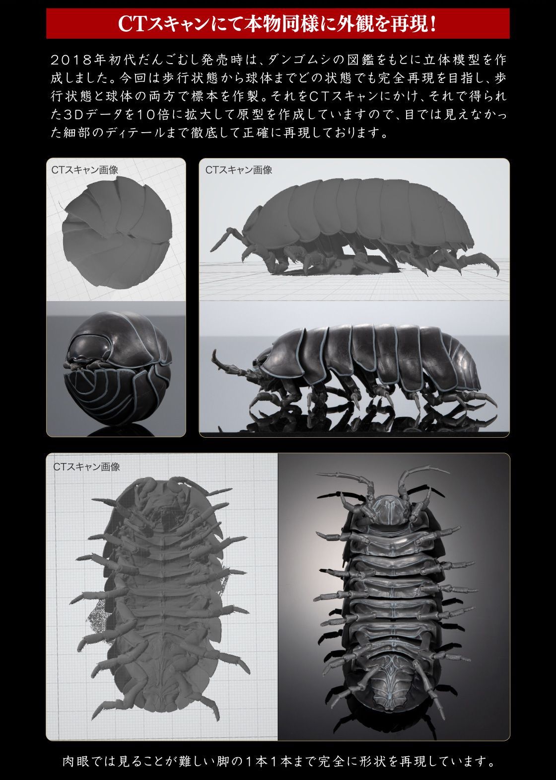BANDAI☆PREMIUM GASHAPON☆いきもの大図鑑アドバンス ダンゴムシ