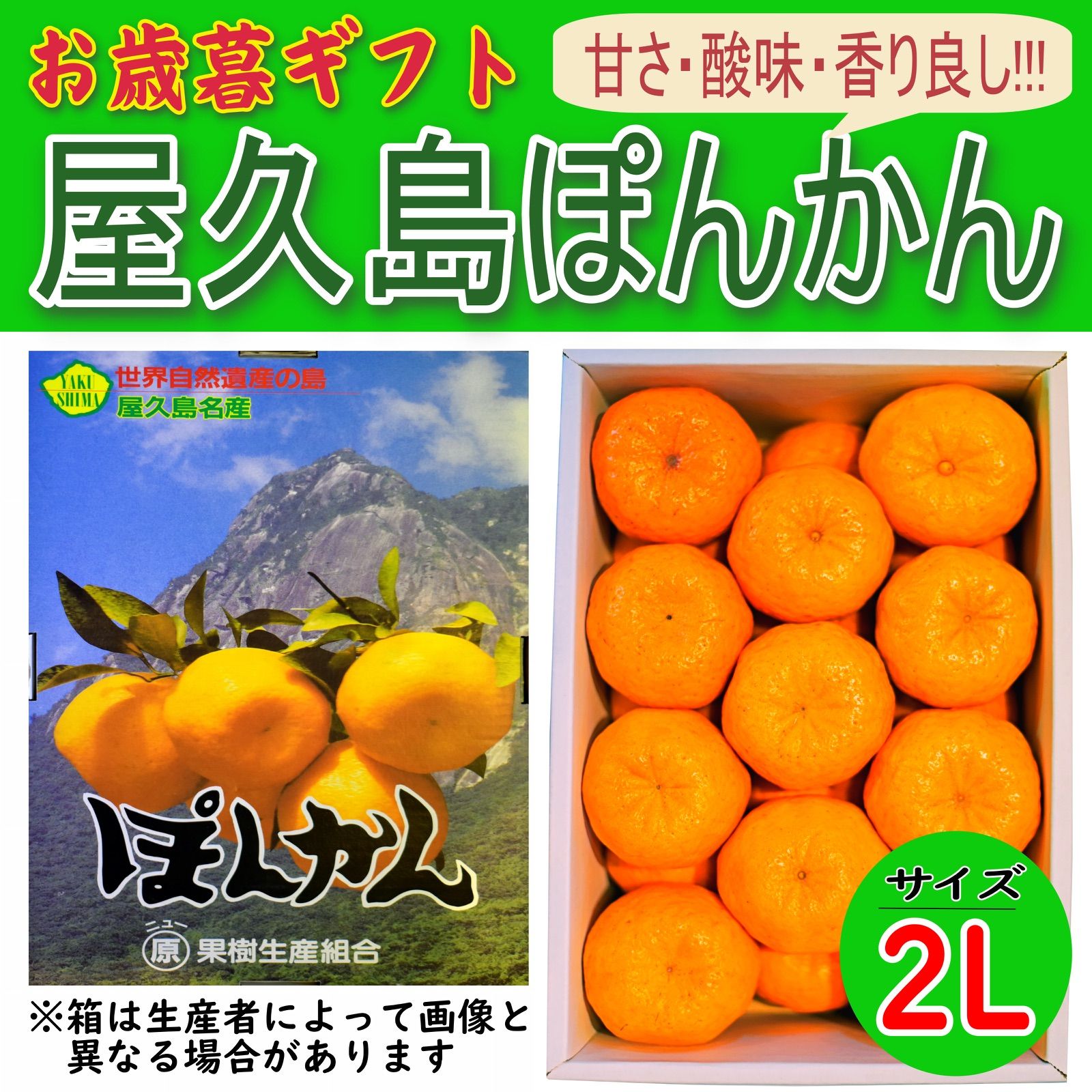 屋久島ぽんかん 5kg 2Lサイズ 贈答用 送料無料 - メルカリ