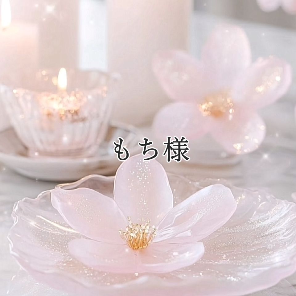 mochi様専用 mochi様専用｜Yahoo!フリマ（旧PayPayフリマ）