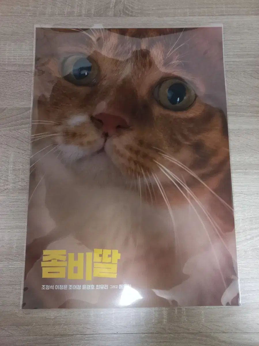 得価，新品 ゾンビ娘 OH用 ポスター A3 その他