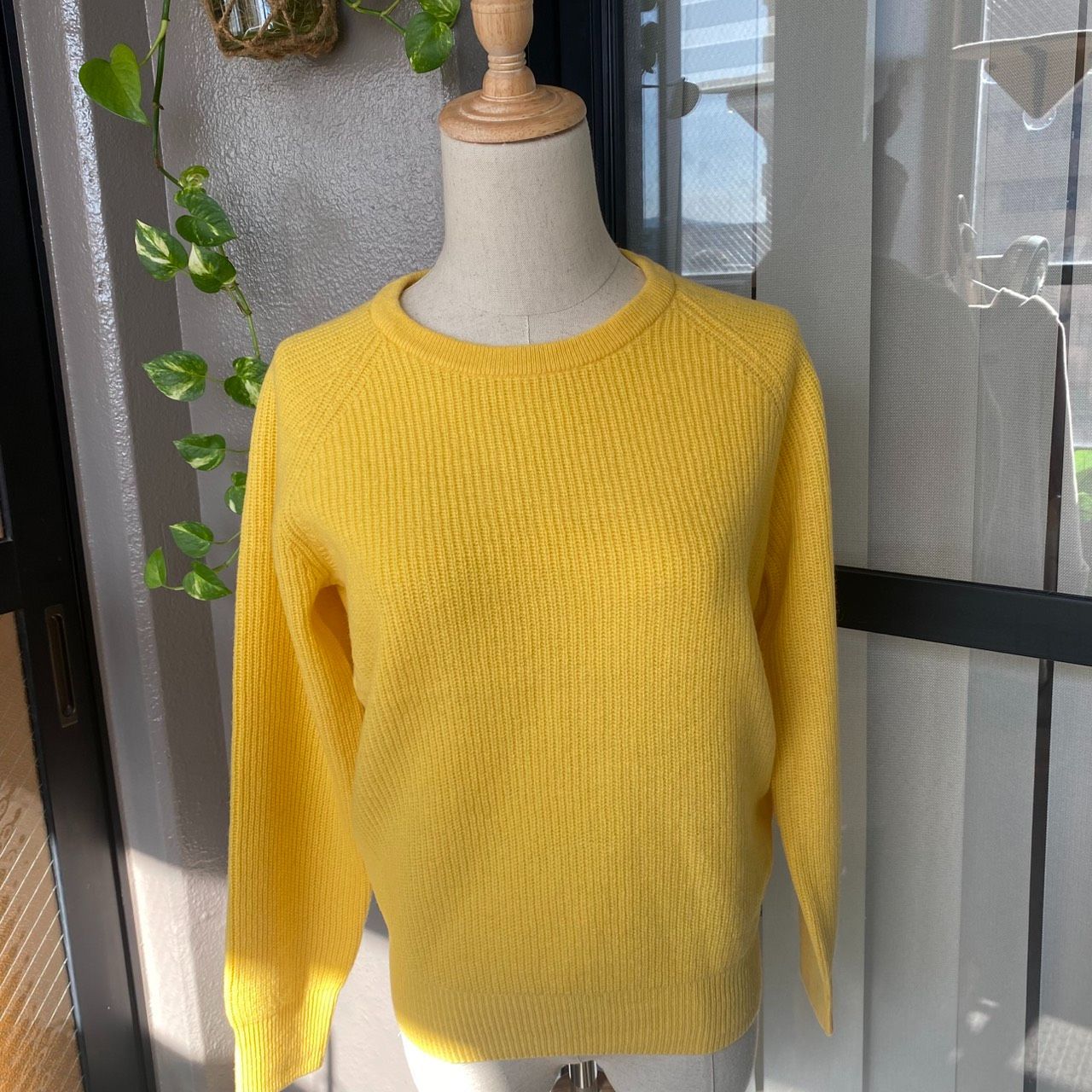 新品タグ付き J.PRESS ジェイプレス レディース クルーネックニット 未