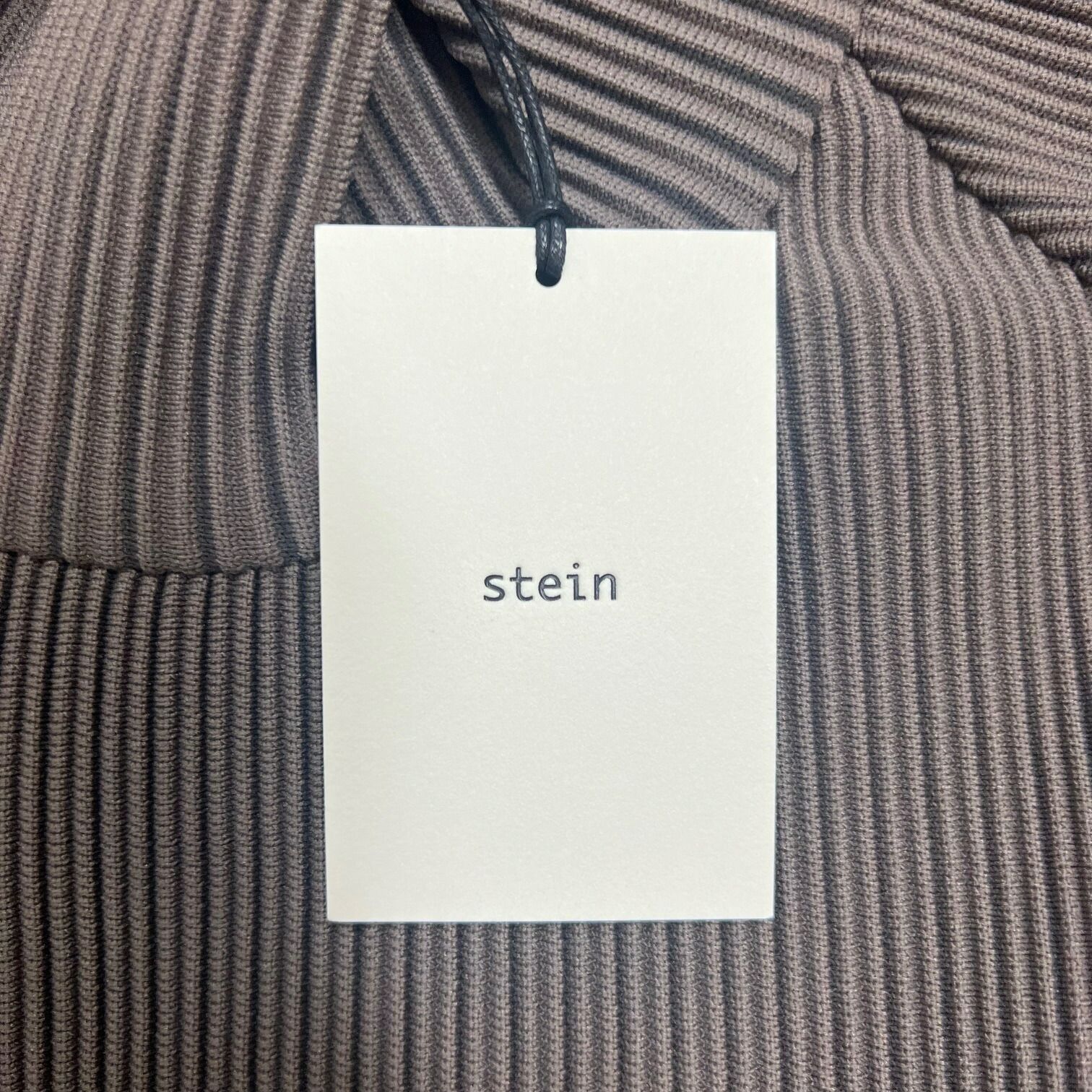 参考上代41800円 未使用 stein(ssstein) OVERSIZED GRADATION PLEATS 